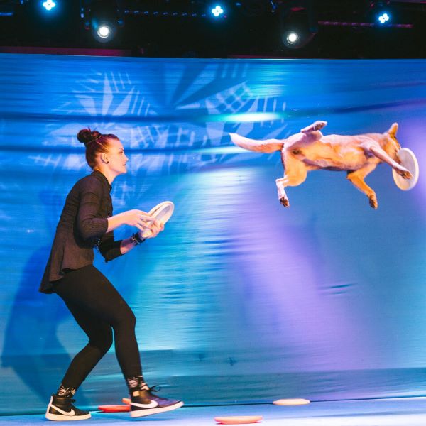 Pets & Giggles  on stage